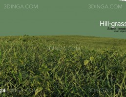 پرسوناژ چمن و پوشش زمین