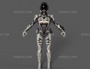 کاراکتر آدم آهنی(Cyber  Ninja  Apex  Legends)