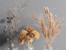 گل‎های خشک در گلدان
