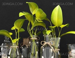 ست دکوراسیون گل در گلدان شیشه ای
