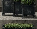 گیاهان + گلدان در فضای باز
