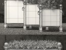 گیاهان + گلدان در فضای باز