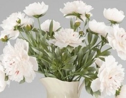 گلدان + گل رز