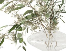 دسته گل اکالیپتوس در گلدان شیشه ای