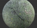 تکسچر صخره خز گرفته