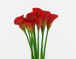 گلدان شیشه + گل شیپوری