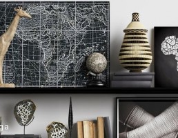 قفسه کتاب + وسایل تزیینی
