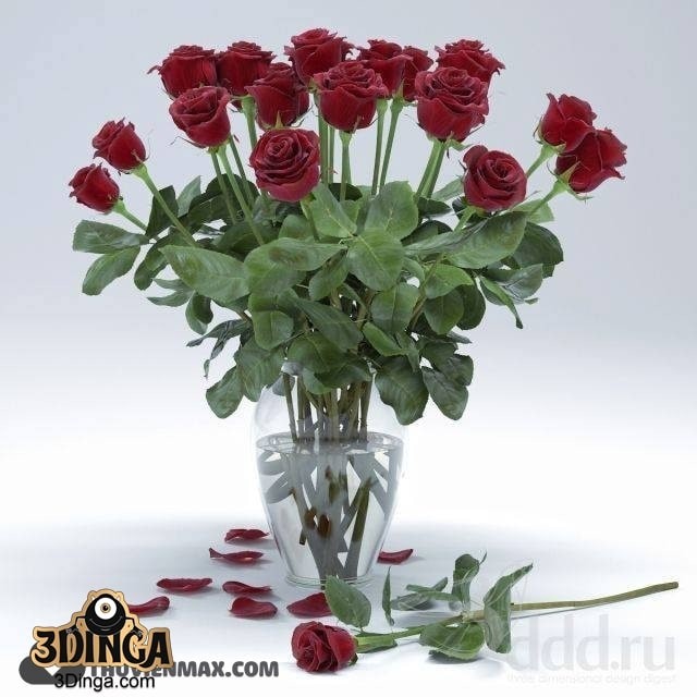 گلدان + گل رز