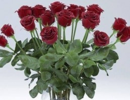 گلدان + گل رز