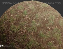 تکسچر زمین جنگل