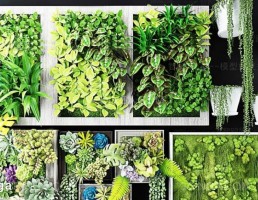 تابلو گیاهان دیوارپوش