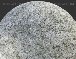 تکسچر صخره