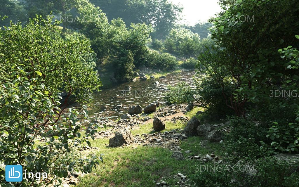 صحنه ایی از بوته گیاهان طبیعی