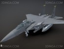 جت مک دانل داگلاس F-15E Strike Eagle