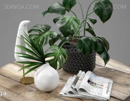 ست دکوراسیون تزئینی