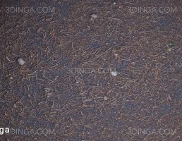 تکسچر PBR سوزن کاج