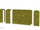 حصار گیاهی پارک