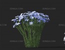 گل های باغی