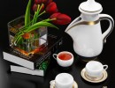 مجموعه مدل های دکوری