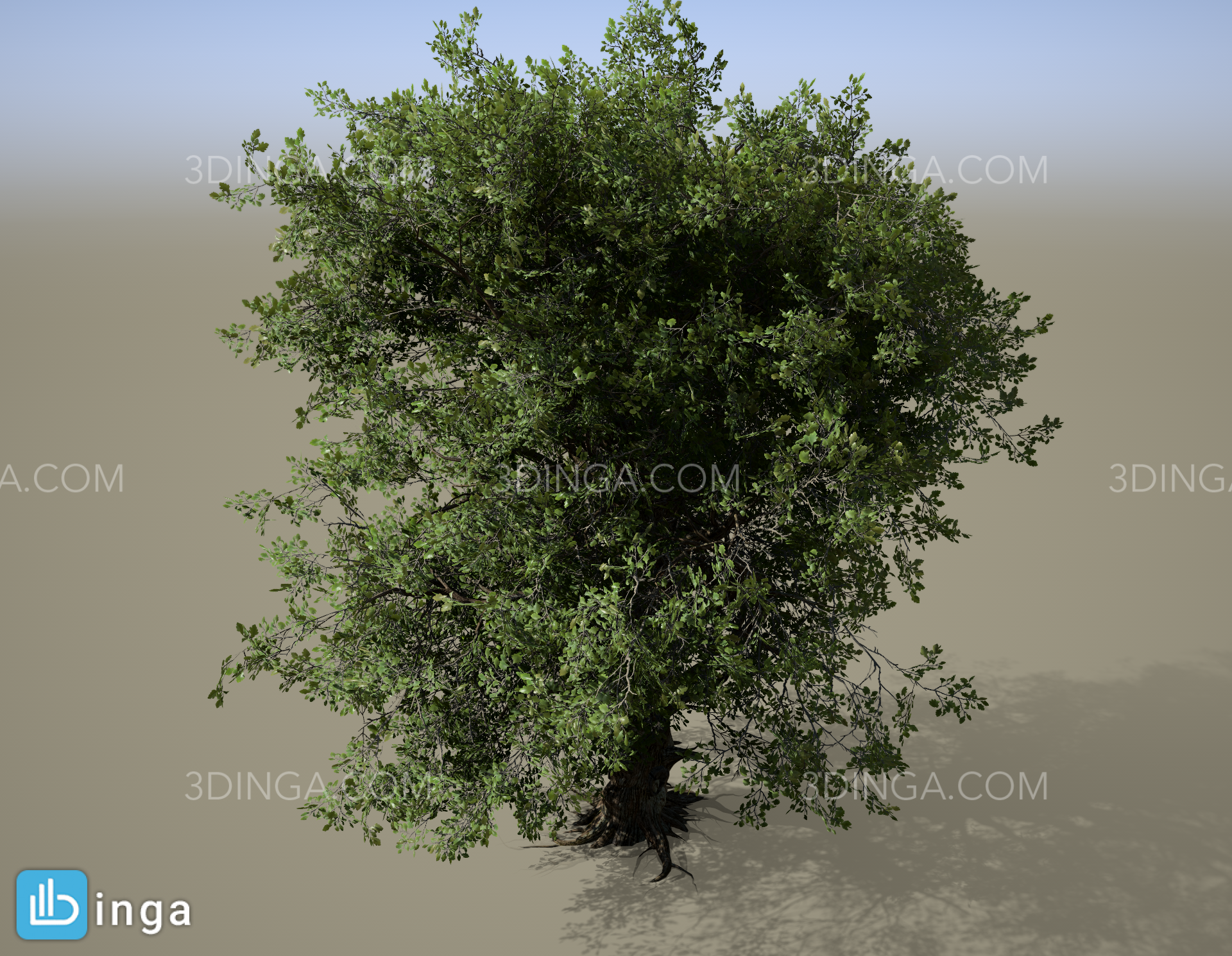 درخت طبیعی محیطی ( Natural environmental tree )