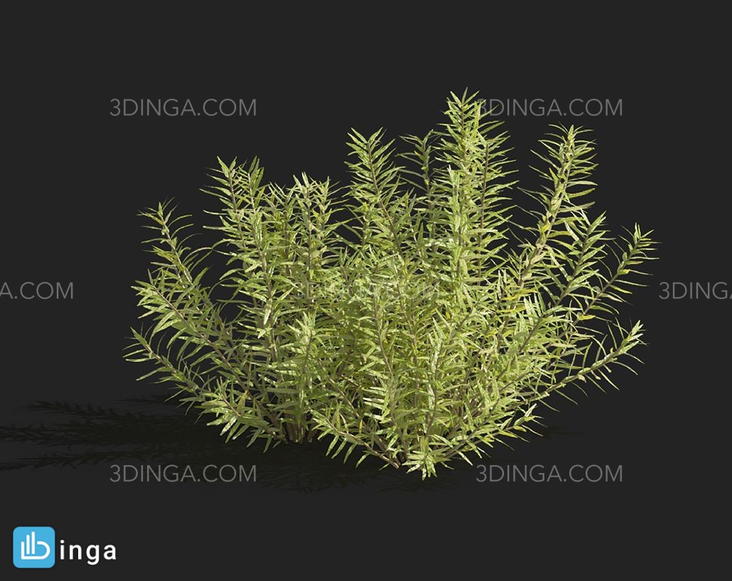 انواع گیاهان بهاری