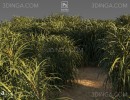 پرسوناژ جاده وسط مزرعه