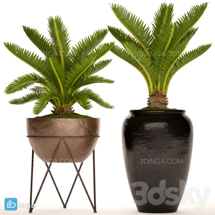 مجموعه گلدان + گل