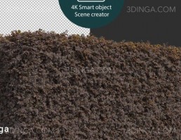 پرسوناژ انواع مختلف بوته و پرچین