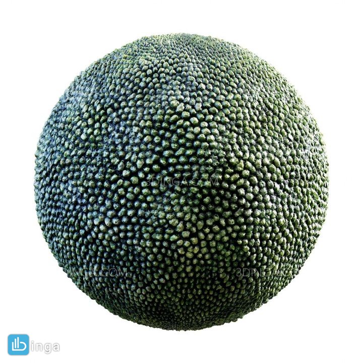 تکسچر پوست موجودات سبز