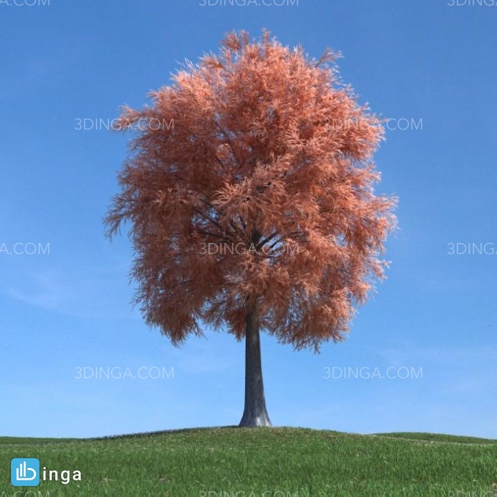 درخت در فصل پاییز