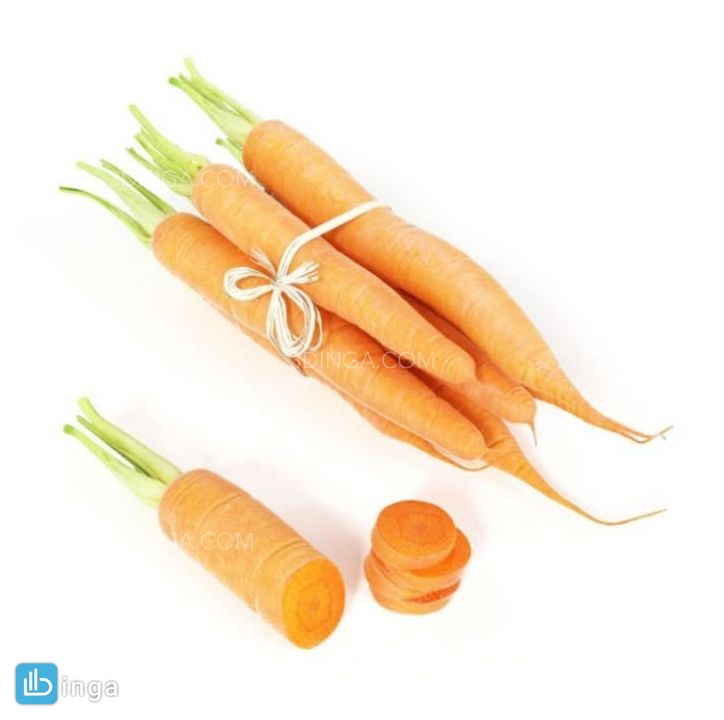 مدل سه بعدی بسته ی هویج