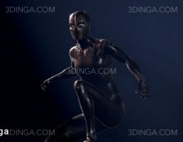 کاراکتر مرد جنگجو The Black Panther