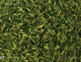 تکسچر PBR چمن برگ دار