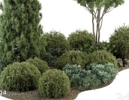 بوته و درختچه ی فضای باز