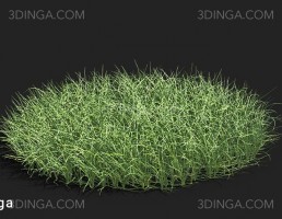 انواع چمن باغ