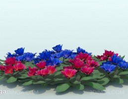 گیاه باغی بهاری