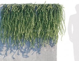 مدل سه بعدی گیاه آویز