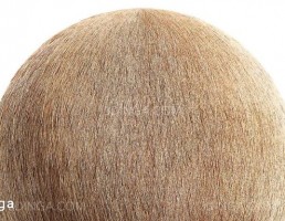 تکسچر سقف پوشالی