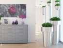 نمای داخلی اتاق نشیمن
