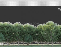 پرسوناژ انواع درختان و چمن