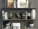 قفسه کتاب + وسایل تزیینی