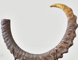 مجسمه سنگی به شکل شاخ
