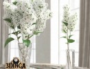 گلدان + گل یاس خوشه ایی
