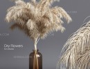 گل‎های خشک در گلدان