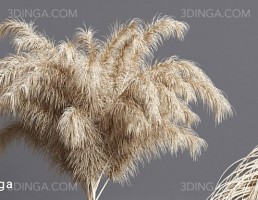 گل‎های خشک در گلدان