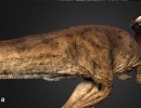 دایناسور Pachycephalosaurus