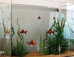 آکواریوم ماهی