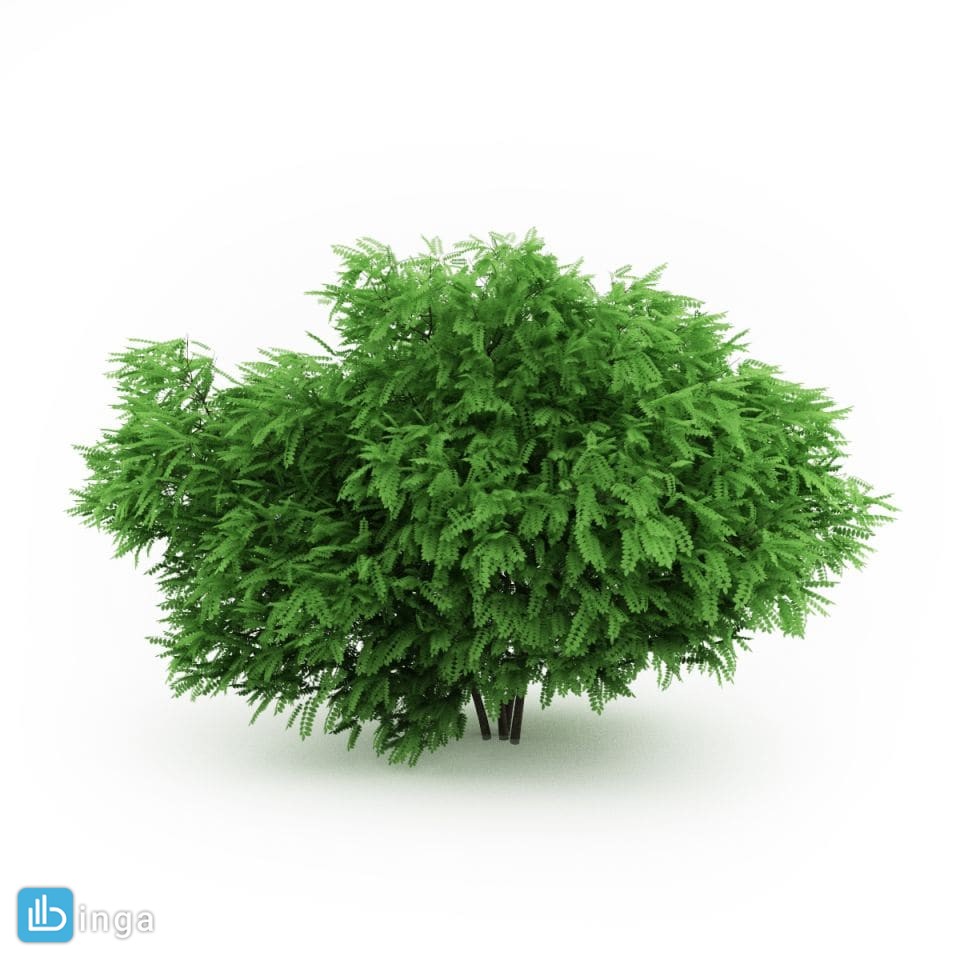گیاهان باغی