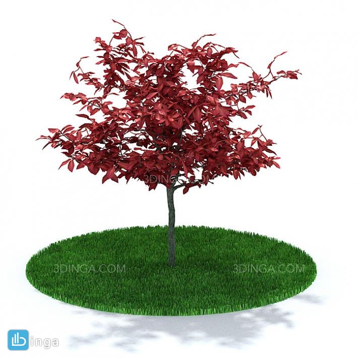 درختچه باغی بهاری