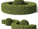 بوته گیاهان پرچین
